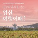 다잇다