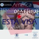 요셉사과농원 | 요셉의 좌충 우돌 첫 어학 연수 보내기...- 미국 ESTA...Minor, 비동반 소아) 써비스 이용 후기 포함