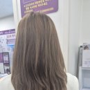 칼라체인지 네이버블로그