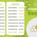 하이브헤어 이미지