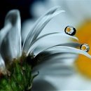 축복 이미지