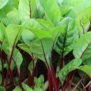 DB스파월드 이미지