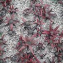 한주농장 이미지