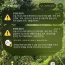 제주 혼여행 10박 11일 (8)
