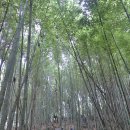 의령 미타산성 | 의령 / 미타산(彌陀山) ~ 유학사(留鶴寺)