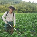 지재농장 이미지