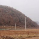 어상천면사무소 이미지