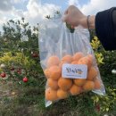 매일2농장 이미지