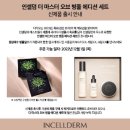 베스트 인셀덤 이미지