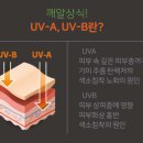 서치앤메이크