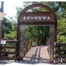 두꺼비휴게소 이미지
