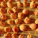 감골농장 이미지