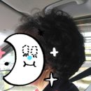 뽀꾸레미용실