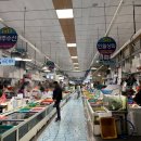 경상도사천 가볼맛한곳, 삼천포용궁수산시장 감성돔, 밀치 회떠온 후기 (23년 12월, 67호 수연횟집 강추)