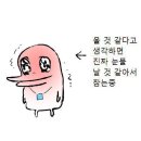 아빠돼지엄마돼지다되지 이미지