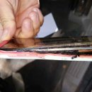 블랙컨슈머 새로고침 이미지