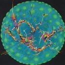 메타-안티메타 展 이미지