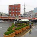 영일시장 이미지