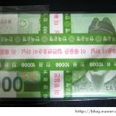 주화물고기