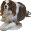 스테이백촌 이미지