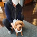 무왕로4길 이미지