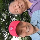 실과바늘 이미지