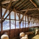 둔대목장 이미지