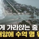 금성카 이미지