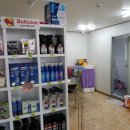 굴화셀프 이미지