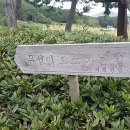 송곡마을회관 이미지