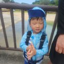 겐키 | 아기와 오키나와 여행｜모토부 겐키무라 건강마을 돌고래 체험 후기, 츄라우미 근처 아이와 꼭 가볼 만...