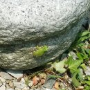 입암농장 이미지