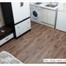 몽그린빌 이미지