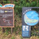 속초사잇길 제5길 이미지