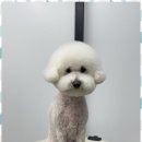 오쿠숑 이미지