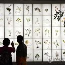 산청휴 이미지