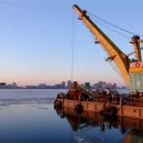 청주24시동물병원 이미지