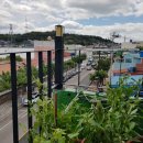 바다하우스 호스텔 이미지