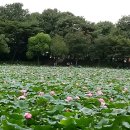 빨강지붕식당 이미지