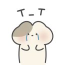 한들스팀세차