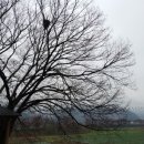 무심검도관 이미지