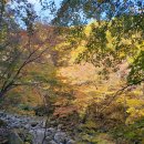 아주 오랜만에 찾은 시월의 제주도 한라산(1,950m) 등정 이미지