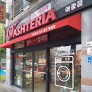워시테리아아중점 이미지