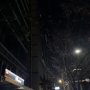 신라메디칼 | 강남 숙소 추천 편안했던 신라스테이 역삼점 후기