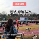 과천 렛츠런파크 무료입장 주차 주말 방문 경마공원 벚꽃