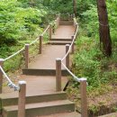 대권오토야영캠핑장 | 천안의 숲 속 힐링 명소 태학산자연휴양림 오토캠핑장: 명당추천