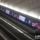 비상유도클럽 이미지