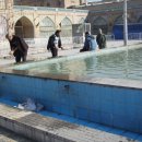 세개의 여유 이미지