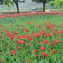 백세공원2 이미지