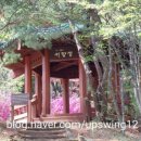 정자중앙길 이미지